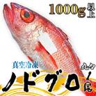 【鮮度抜群】真空冷凍　日本海産ノドグロ 1尾(約1kg以上)