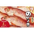 【鮮度抜群】真空冷凍　日本海産ノドグロ 10尾セット(1尾 約100g以上)