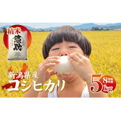 【9月中旬頃～発送】先行予約 令和8年産 特別栽培米コシヒカリ 精米 5kg
