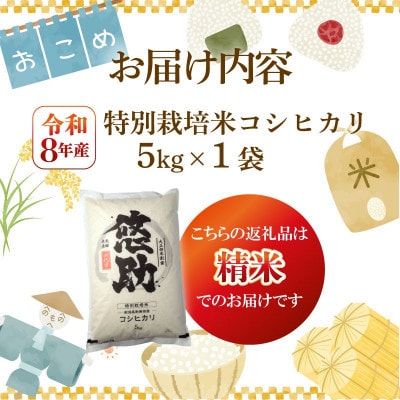 【9月中旬頃～発送】先行予約 令和8年産 特別栽培米コシヒカリ 精米 5kg
