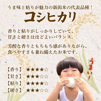 【9月中旬頃～発送】先行予約 令和8年産 特別栽培米コシヒカリ 精米 5kg