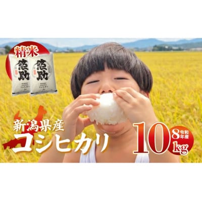【9月中旬頃～発送】先行予約 令和8年産 特別栽培米コシヒカリ 精米 10kg