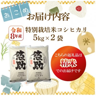 【9月中旬頃～発送】先行予約 令和8年産 特別栽培米コシヒカリ 精米 10kg