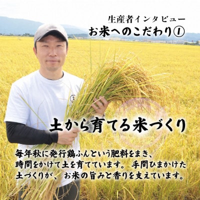 【9月中旬頃～発送】先行予約 令和8年産 特別栽培米コシヒカリ 精米 10kg