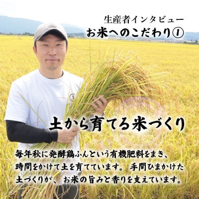 【11月発送】令和8年産 特別栽培米コシヒカリ 5kg 精米