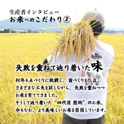 【11月発送】令和8年産 特別栽培米コシヒカリ 5kg 精米