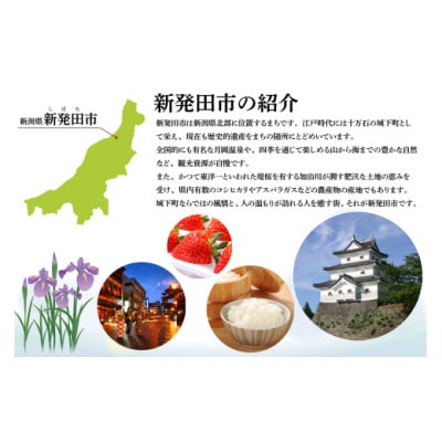 【返礼品なし】新発田市民の安心安全を守るために ～人とクマとの棲み分けに向けたご支援を～7,000円