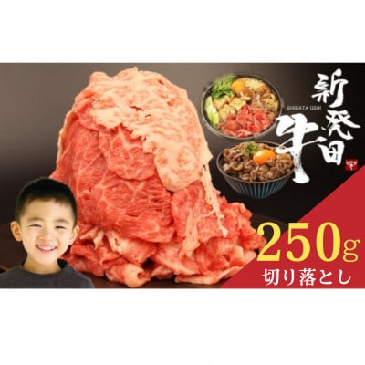 �V���c�� ���� �؂藎�Ƃ� 250g(250g×1�p�b�N)