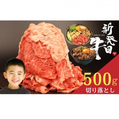 �V���c�� ���� �؂藎�Ƃ� 500g(500g×1�p�b�N)