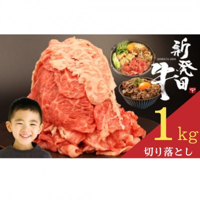 新発田牛 牛肉 切り落とし 1kg(500g×2パック)