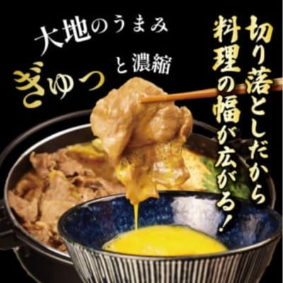 新発田牛 牛肉 切り落とし 1kg(500g×2パック)