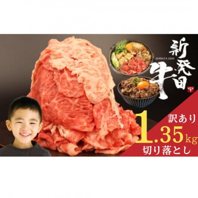 �y�󂠂�z�V���c�� ���� �؂藎�Ƃ� 1.35kg(450g×3�p�b�N)