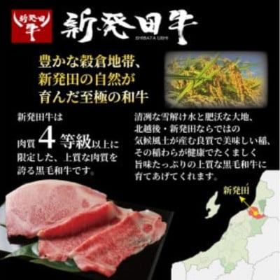 【訳あり】新発田牛 牛肉 切り落とし 1.35kg(450g×3パック)