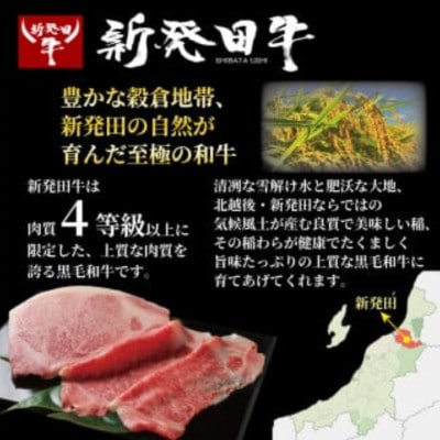 新発田牛 牛肉 肩ロース 1kg(計3パック)