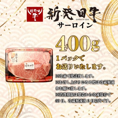 新発田牛 牛肉 サーロイン 400g(2枚入り400g×1パック)