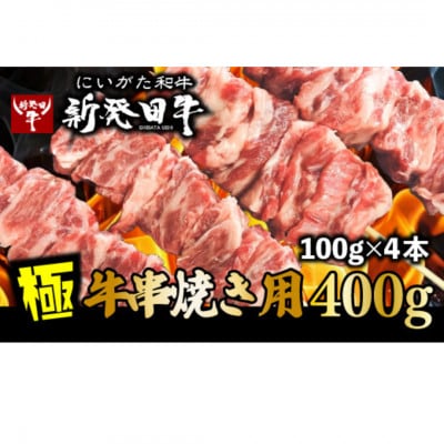 新発田牛 牛串焼き用肉(100g×4本)
