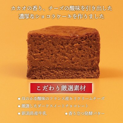 半熟スフレ ショコラケーキ 10個 (5個入り 2箱)