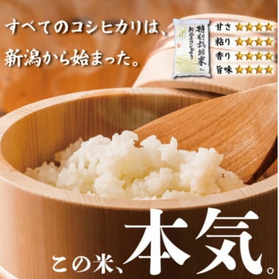 令和7年産!自然の恵みと安心を凝縮した、新潟県新発田市産 「特別栽培米こしひかり」5kg(白米)