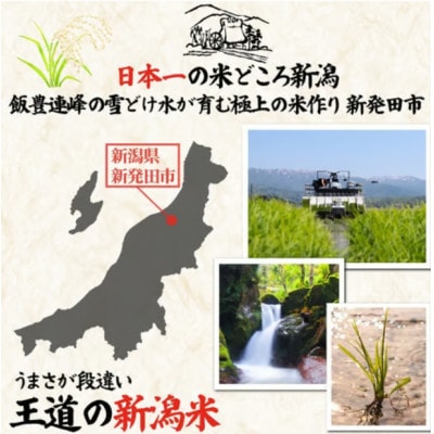 令和7年産!自然の恵みと安心を凝縮した、新潟県新発田市産 「特別栽培米こしひかり」5kg(白米)