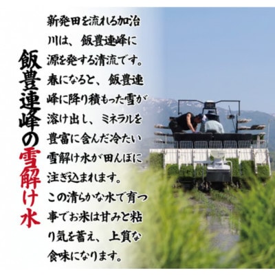 令和7年産!自然の恵みと安心を凝縮した、新潟県新発田市産 「特別栽培米こしひかり」5kg(白米)