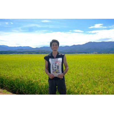 令和7年産! 新潟県新発田市産ブランド米「甘うま越後のこしひかり」5kg(白米)