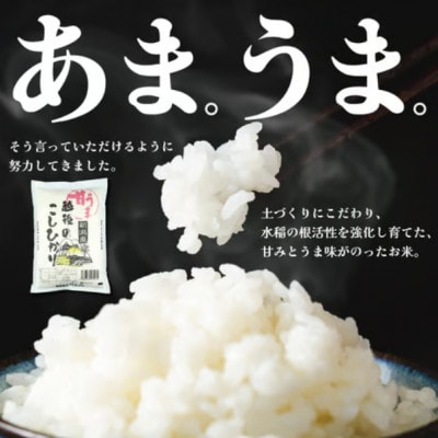 令和7年産! 新潟県新発田市産ブランド米「甘うま越後のこしひかり」5kg(白米)