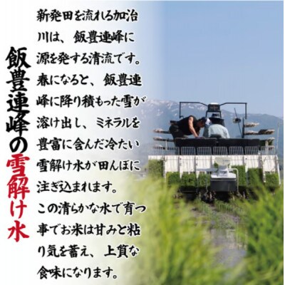 令和7年産! 新潟県新発田市産ブランド米「甘うま越後のこしひかり」5kg(白米)