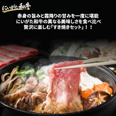 【にいがた和牛】すき焼き モモ・肩ロース 食べ比べセット 800g(400g×2)新発田市産
