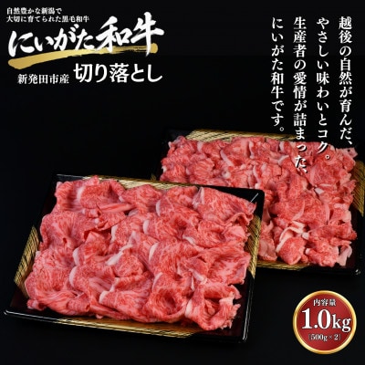 【にいがた和牛】切り落とし 1.0kg(500g×2) 新発田市産 黒毛和牛