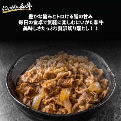 【にいがた和牛】切り落とし 1.0kg(500g×2) 新発田市産 黒毛和牛