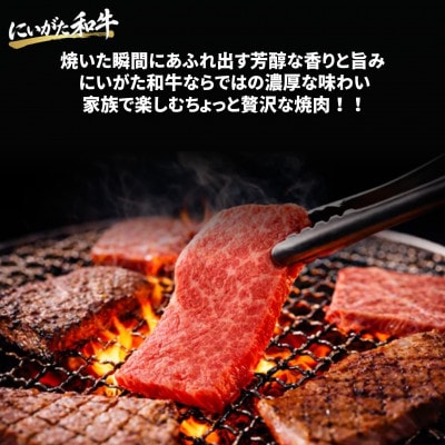 【にいがた和牛】焼肉スライス 800g(400g×2) 新発田市産 黒毛和牛