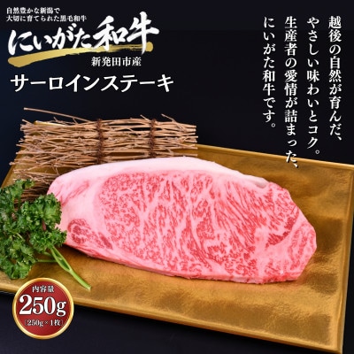 【にいがた和牛】サーロインステーキ 250g×1 新発田市産 黒毛和牛
