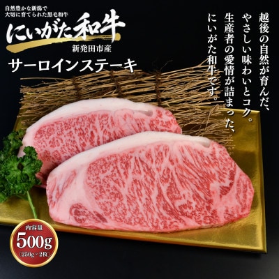 【にいがた和牛】サーロインステーキ 500g(250g×2) 新発田市産 黒毛和牛