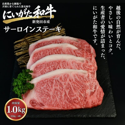 【にいがた和牛】サーロインステーキ 1.0kg(250g×4) 新発田市産 黒毛和牛
