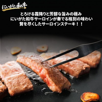 【にいがた和牛】サーロインステーキ 1.0kg(250g×4) 新発田市産 黒毛和牛