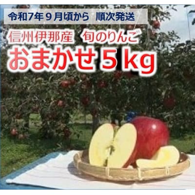 令和7年9月ごろ～発送　信州の旬のりんごおまかせ5キロ(りんご・リンゴ・林檎)