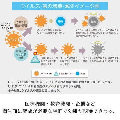 ロジテック SSD 外付け 抗菌 抗ウイルス対応 LMD-SPB100UBKK