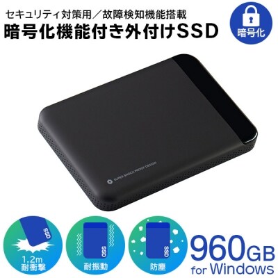 ロジテック 暗号化 外付けSSD セキュリティ対策 /LMD-PBL960U3BS 081-03