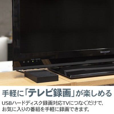 【053-01】ロジテック ハードディスク 2TB ポータブル/LHD-PBR20U3BK