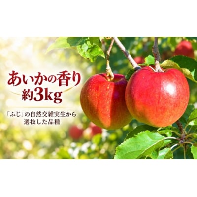信州のりんご　あいかの香り3キロ