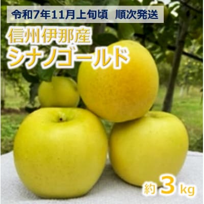 令和7年11月上旬発送!信州のりんご　シナノゴールド　3キロ!　信濃三兄弟の一つ