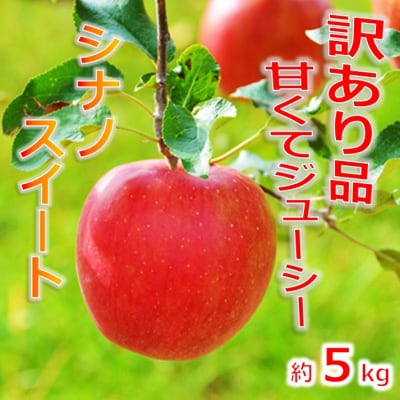 信州のシナノスイート　訳あり　5キロ!　信濃三兄弟の一つ