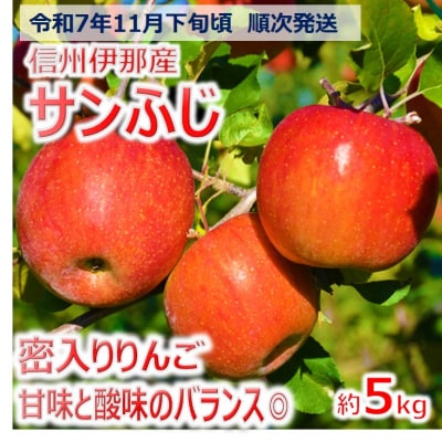  【012-19】令和7年11月下旬発送　信州のサンふじ　5キロ!(りんご・リンゴ・林檎)