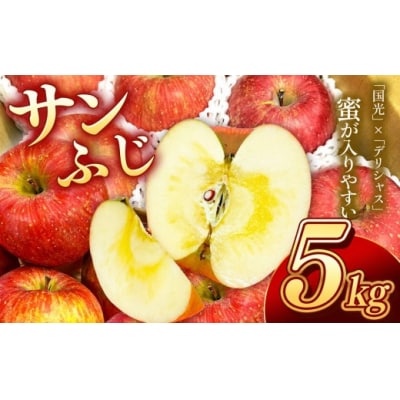 信州のりんご　サンふじ　5キロ!(りんご・リンゴ・林檎)