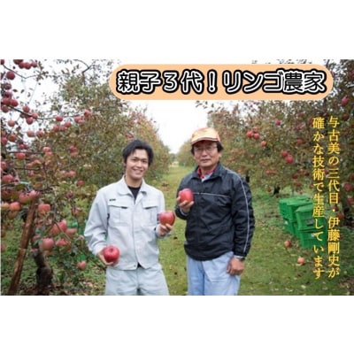 信州のりんご　サンふじ　5キロ!(りんご・リンゴ・林檎)