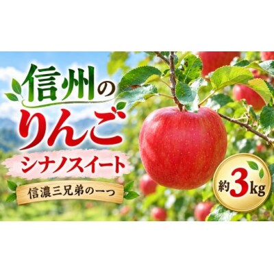 信州のりんご　シナノスイート　約3キロ