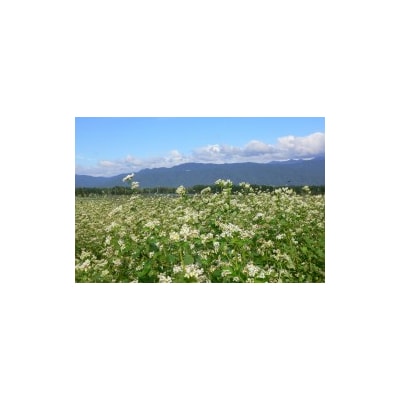 木曽屋　信州名産そばセット