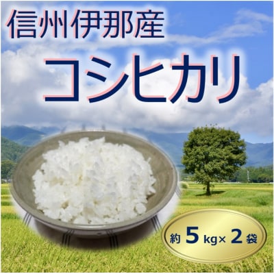 信州伊那　多笑米　コシヒカリ　5kg×2袋(米・こめ・コメ)
