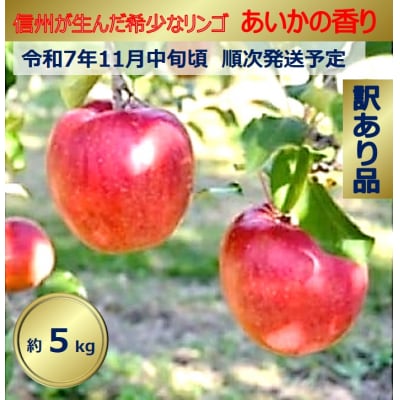 令和7年11月以降発送　傷等訳あり・ご家庭用　甘い!希少!りんご　あいかの香り