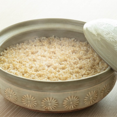 【★☆令和6年産米　受付再開☆★】自然栽培　カミアカリ　玄米　1kg